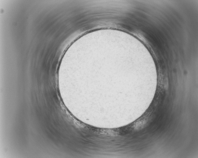 X0000052600807200507292121