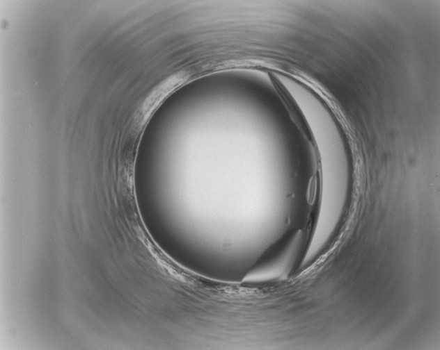 X0000052600809200507292121