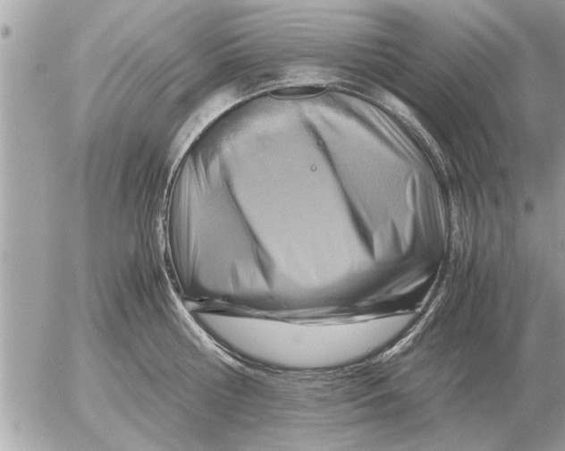 X0000052600810200507292121