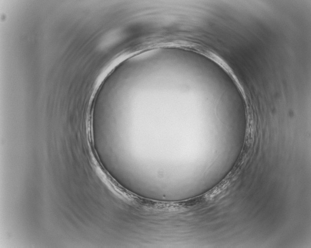 X0000052600811200507292121