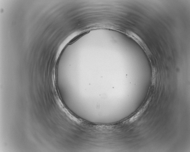 X0000052600812200507292121