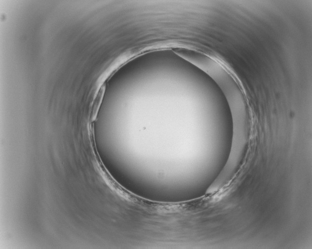 X0000052600813200507292121