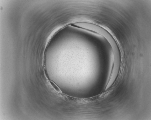 X0000052600815200507292121