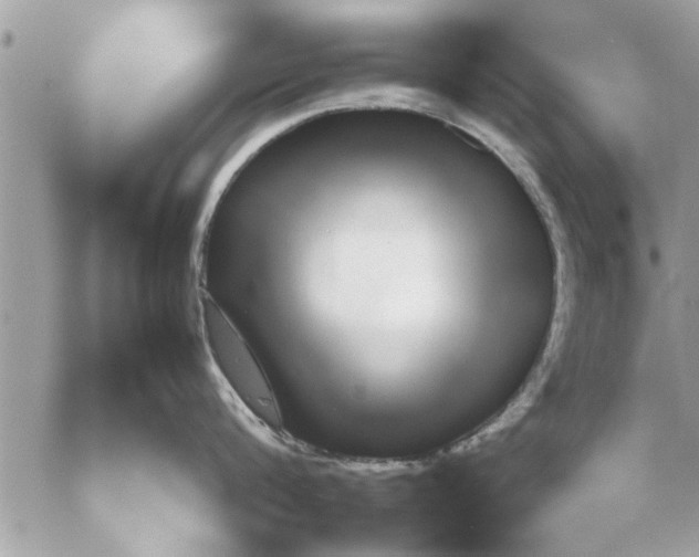 X0000052600816200507292121