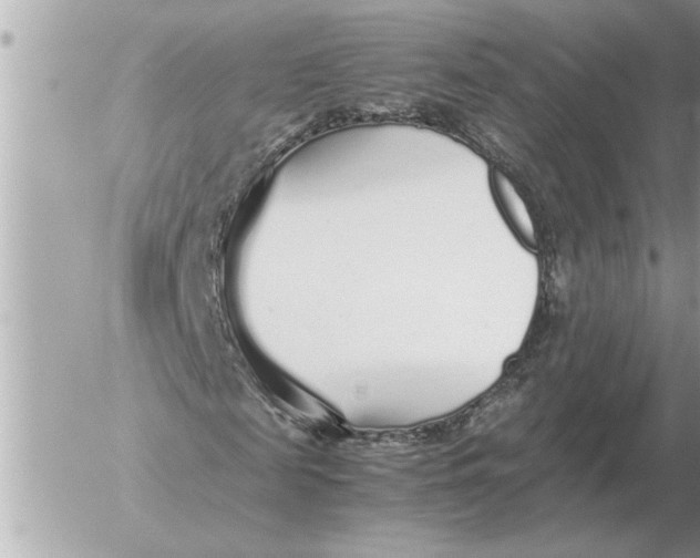 X0000052600817200507292120