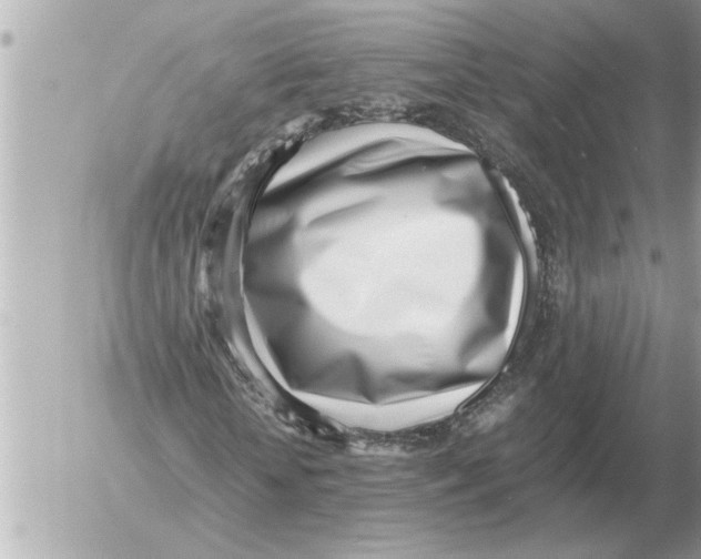 X0000052600818200507292120