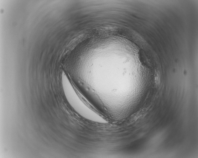 X0000052600819200507292120