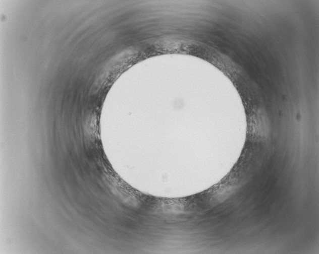 X0000052600820200507292120