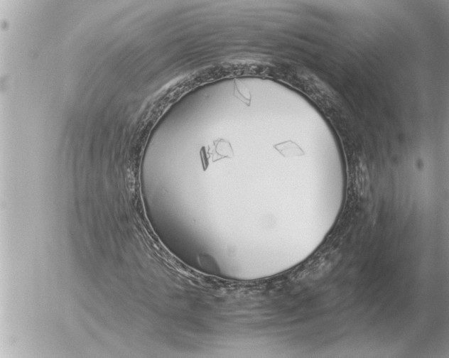 X0000052600821200507292120