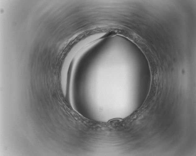 X0000052600822200507292120