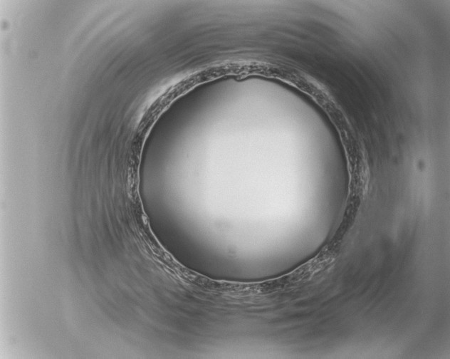 X0000052600823200507292120