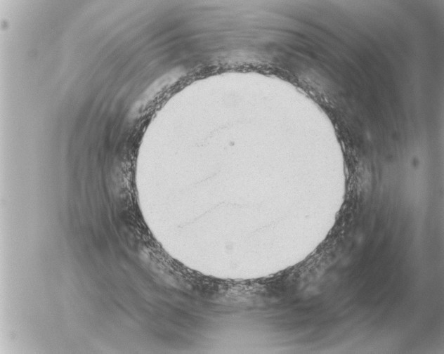 X0000052600824200507292120