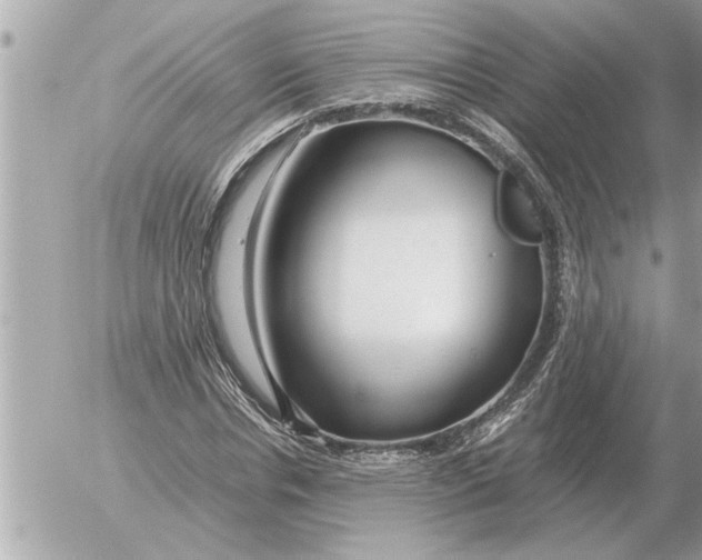 X0000052600826200507292120