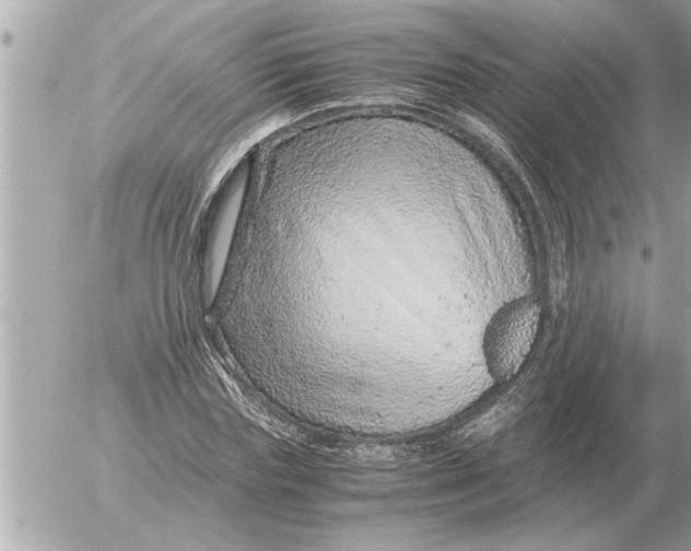 X0000052600827200507292120