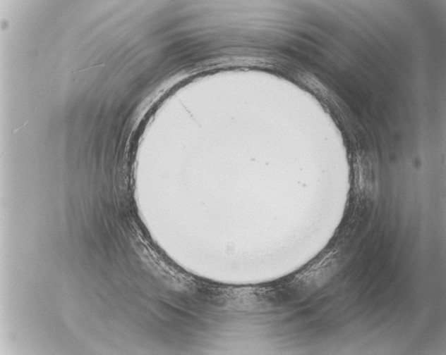 X0000052600828200507292120