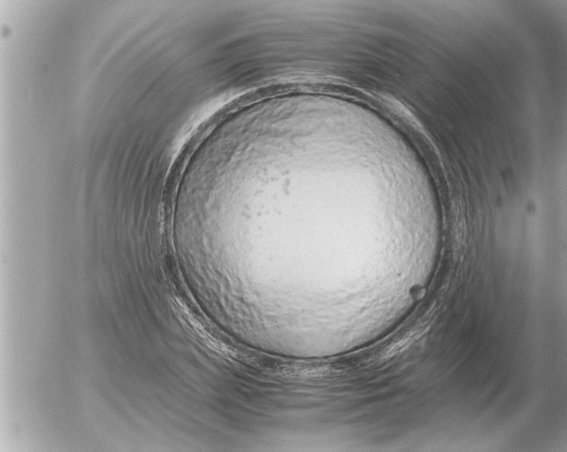 X0000052600831200507292121