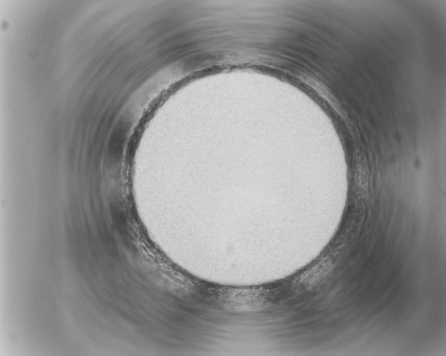 X0000052600832200507292121