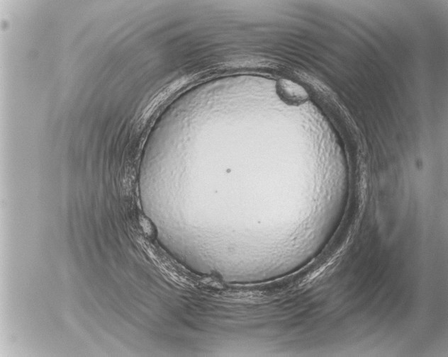 X0000052600833200507292121