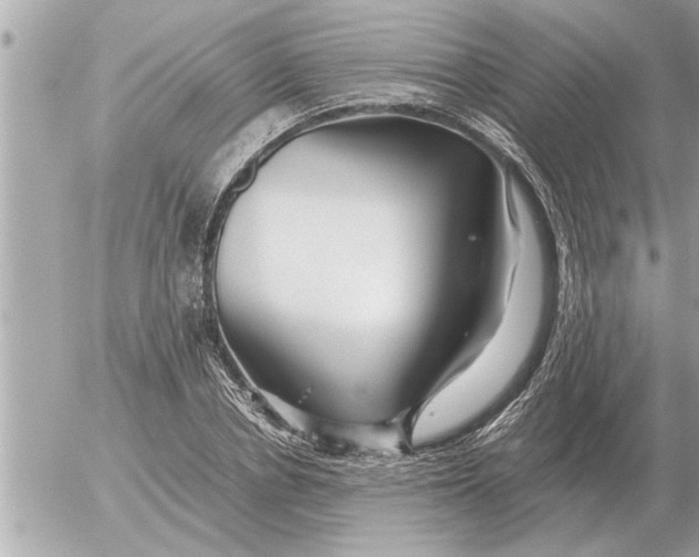 X0000052600834200507292121