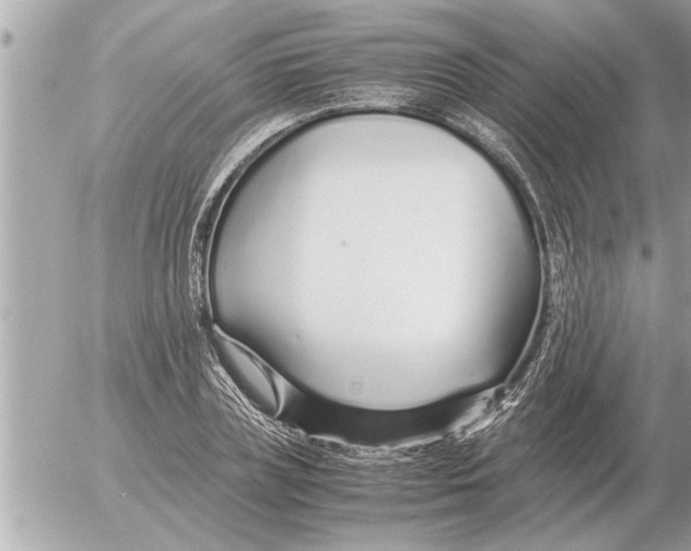 X0000052600835200507292121