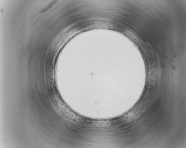 X0000052600836200507292121