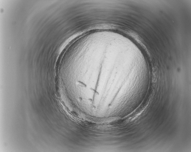 X0000052600837200507292121