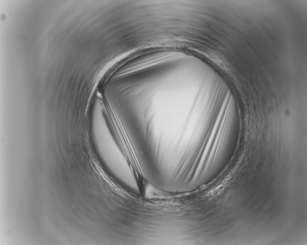 X0000052600838200507292121