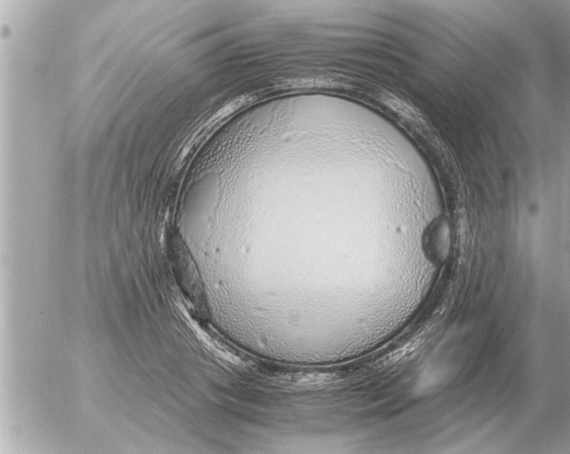 X0000052600841200507292121