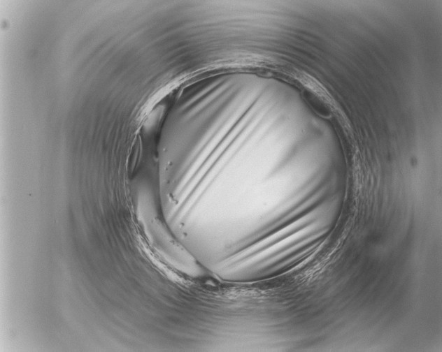 X0000052600842200507292121