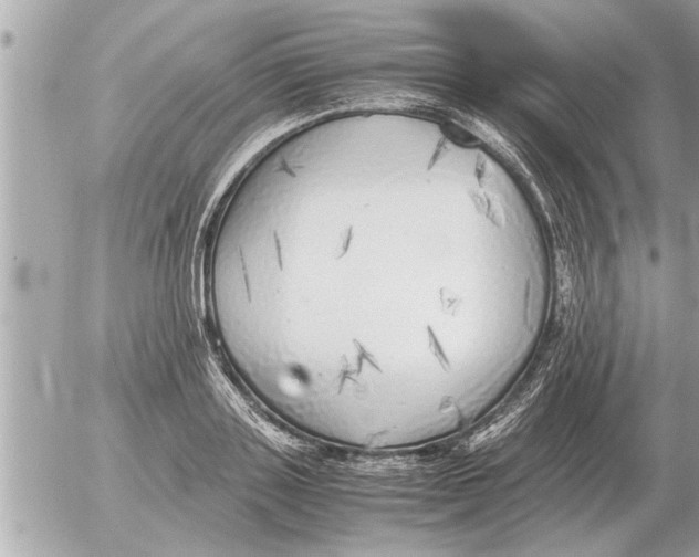 X0000052600843200507292121