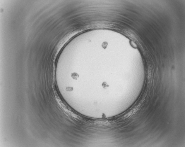 X0000052600844200507292121