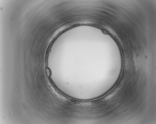 X0000052600845200507292121