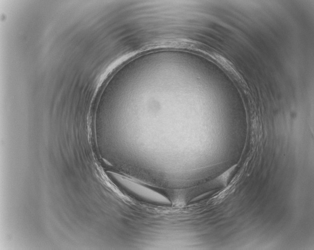 X0000052600846200507292121