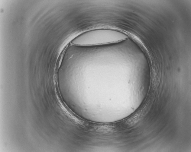 X0000052600847200507292121