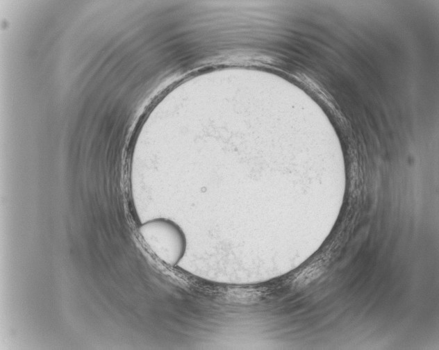 X0000052600848200507292121