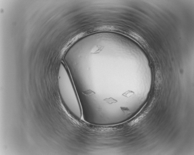 X0000052600849200507292121