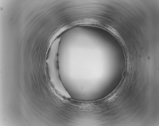 X0000052600850200507292121