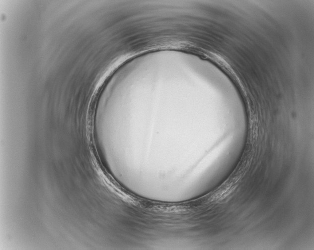 X0000052600851200507292121