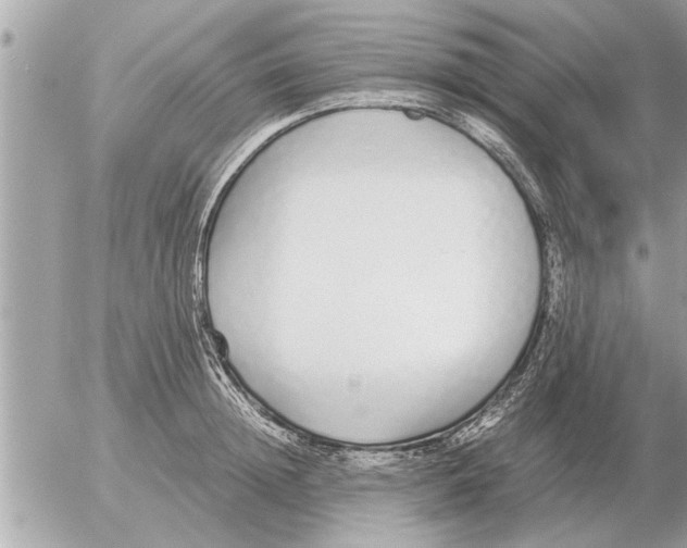 X0000052600852200507292121