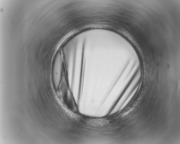 X0000052600853200507292121