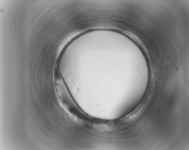 X0000052600855200507292121