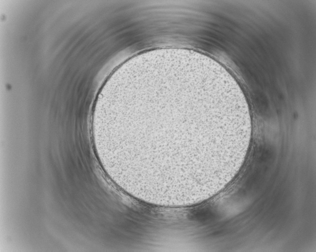 X0000052600856200507292121