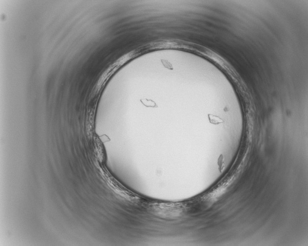 X0000052600857200507292121