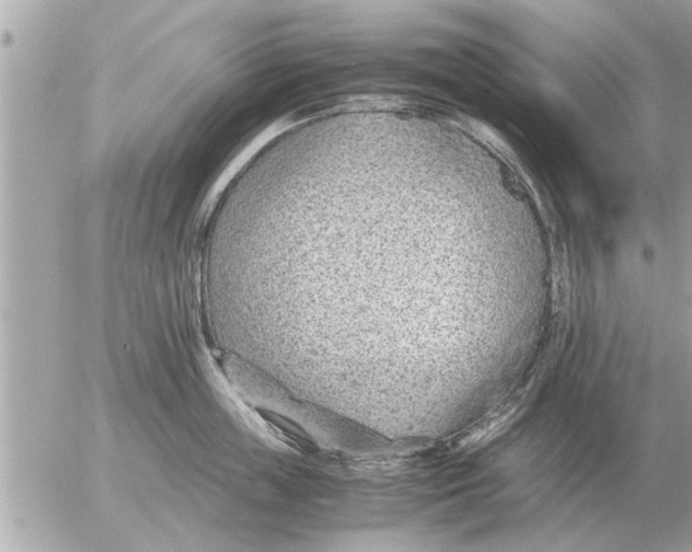 X0000052600859200507292121