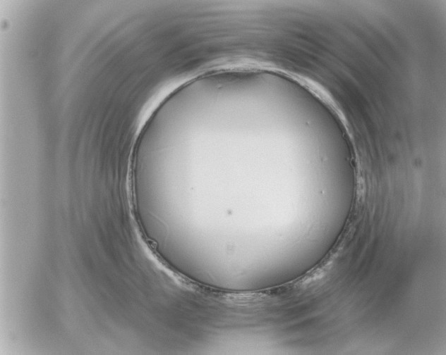 X0000052600863200507292121