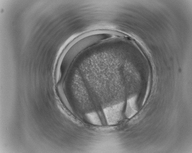 X0000052600864200507292121