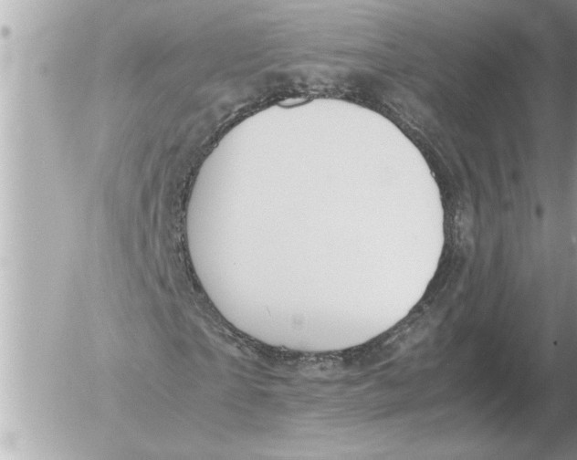 X0000052600865200507292120