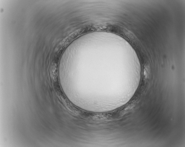 X0000052600867200507292120