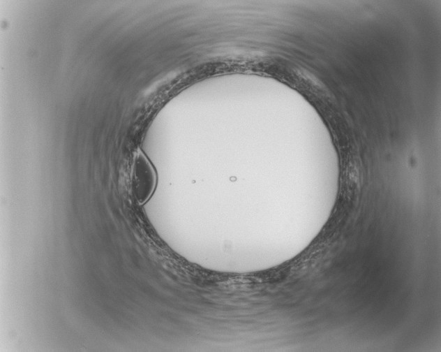 X0000052600869200507292120