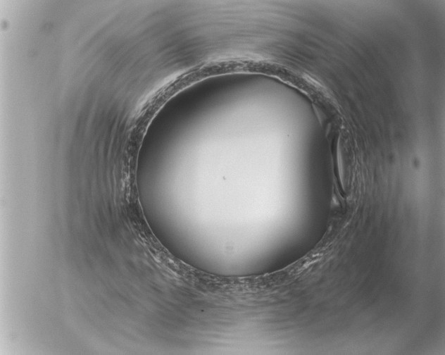 X0000052600872200507292120